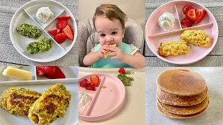 Freezer Friendly Baby Led Weaning Recipes – Prep Ahead!