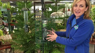 How to Discourage Pest Birds from Feeders