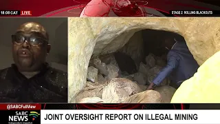 Joint oversight report on illegal mining