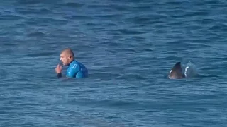 Переживший нападение акулы сёрфингист вернулся в спорт (новости)