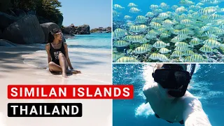 Similan Islands Tour (Ausflug in das Inselparadies Thailands - Lohnt es sich?)