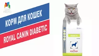 Корм для кошек Royal Canin Diabetic | Обзор корма Royal Canin Diabetic