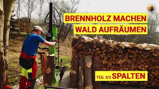 Brennholz Machen Teil 3 - Wald aufräumen mit MiniDumper GeoPorter 530E & Zipper Holzspalter ZI-HS16E