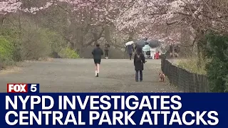 NYPD investigates Central Park unprovoked attacks