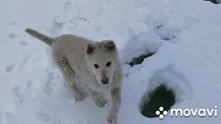 РЫБАЛКА, ОГРОМНЫЕ ХАРИУСЫ!!!!!!!!!!! (В конце видео)!!!