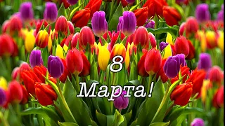 Поздравляю с 8 Марта! 🌹🌹🌹❤️❤️❤️С праздником Весны! 🌹🌹🌹❤️❤️❤️С Международным Женским Днём! #shorts