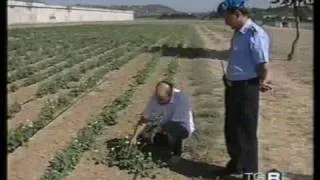 Rai 3 TGR Umbria Il Podere del Carcere Luglio 2007