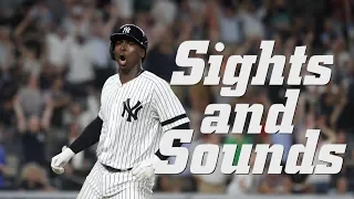 Sights & Sounds: Knight Court | New York Yankees