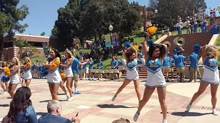 UCLA BRUIN DAY 2019