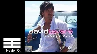 David Tavaré - Can You Feel The Love Tonight (Español)