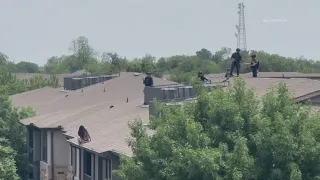 1 in custody after SWAT responds after Dallas shooting, standoff on roof, police say