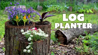 How to Make a LOG PLANTER for Your Garden | Various Methods