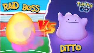 What Happens if you use DITTO Against a Raid Boss in Pokémon GO?