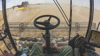 POV/GoPro/driver view - CASE IH Axial Flow 8240 + MacDon FD135, CR9.80, Optum 270 + Perard