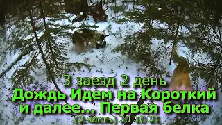 3 заезд Дождь Идём на Короткий и далее... Первая белка (2 часть) 20 10 21