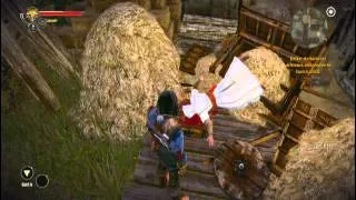 The Witcher 2: AOK - Assassin's Creed Easter Egg