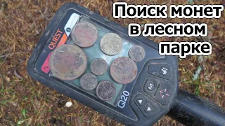 Поиск монет в лесном парке. Находки порадовали. В поиске золота, кладов и серебра.