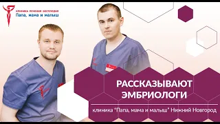 Зачем необходимо сдавать спермограмму перед протоколом ЭКО?