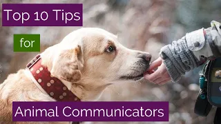 My Top Ten Animal Communication Tips - Learn How to Talk to Your Pet or Any Animal!