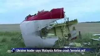 MH17: Ukraine leader says airline crash 'terrorist act'