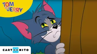 Tom și Jerry | Ouă la micul dejun? | Cartoonito