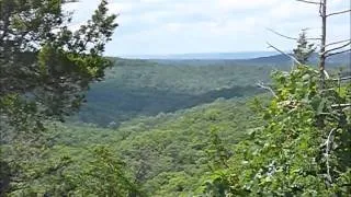 Hercules Glades hike north from Coy Bald trailhead