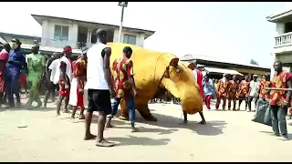 AKUM(HIPPOPOTAMUS) MASQUERADE NZAM, ANAMBRA WEST L.G.A