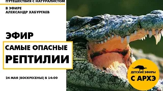 Детский эфир «Самые опасные рептилии» в рамках рубрики «Путешествия с натуралистом»