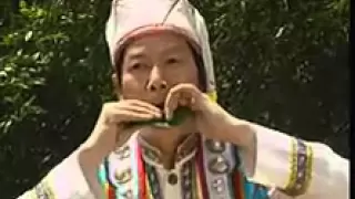 Bamboo Under The Moonlight (Asian leaf blowing)