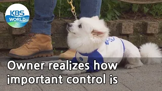 Owner realizes how important control is (Dogs are incredible) | KBS WORLD TV 210609