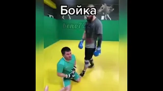 БОЙКА И ЧИМАЕВ / Бойкан йитти 😂 ЧЕЧЕНСКИЕ ПРИКОЛЫ  /ЧЕЧЕНСКИЙ БОЙКА / МОГАЕВ ЧП ХЬУСАЙН / МАХАЧ