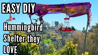 Hummingbird Shelter DIY Cover So Hummingbirds can Feed out of the Hot Sun or Rain Good for Plants To