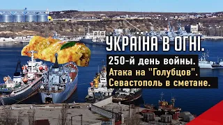 Россия вышла из зерновой сделки. Закончились корабли. Вторжение России в Украину. День 250-й