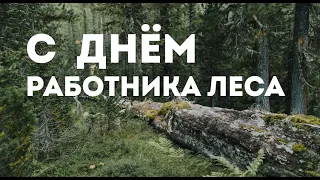 С днём работника леса!