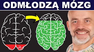 5 regeneratorów mózgu 🧠 Poprawią pamięć, cofną mgłę mózgową