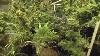 2024 brings new marijuana regulations in Colorado