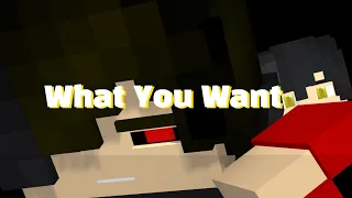WHAT YOU WANT meme || minecraft animation || (Gift)