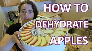 Dehydrating Apples - Quick and Easy Snack | Fermented Homestead
