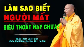 Làm Sao Biết Người Mất Siêu Thoát Hay Chưa (Vấn đáp siêu hay) - Thầy Thích Đạo Thịnh