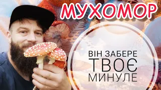 МУХОМОРИ. Чи потрібен мікродозінг? АКЦІЯ! ОТРИМАЙ AMANITA MUSCARIA БЕЗКОШТОВНО!