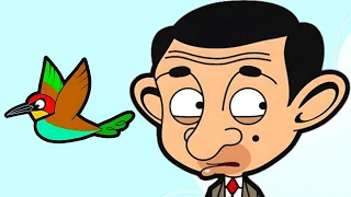 BEAN'S BIRD SCAM! 💵 | Mr Bean | Cartoons For Kids | WildBrain Kids