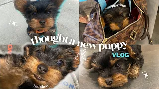 VLOG:I GOT A PURE BRED YORKIE| FIRST 72 HOURS WITH MY NEW PUPPY| SHOPPING, PLAYTIME AND MORE+