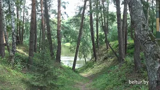 База отдыха Вербки - территория, Отдых в Беларуси