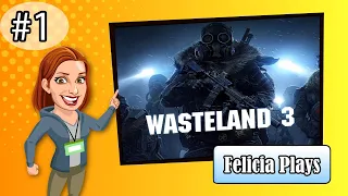 Felicia Day plays Wasteland 3! Part 1!