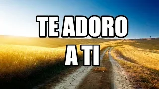 Cuando Pienso En Tu Santidad - Te adoro a Ti - Pista con letra