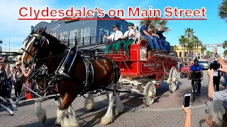 Daytona Bike Week 2024 on Main Street: Day 3 | Budweiser Clydesdales!