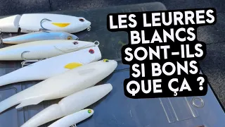 Les leurres blancs sont-ils si bons que ça ??? Le TOP 3 des invités pour la pêche du bar // FC 39