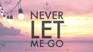 Never Let Me Go - Shawn Mendes