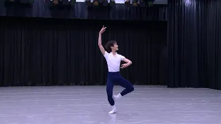 Sleeping Beauty Prince Variation, Act 3