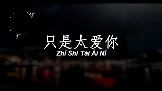 Zhi Shi Tai Ai Ni   [ Ding Fu Ni ]